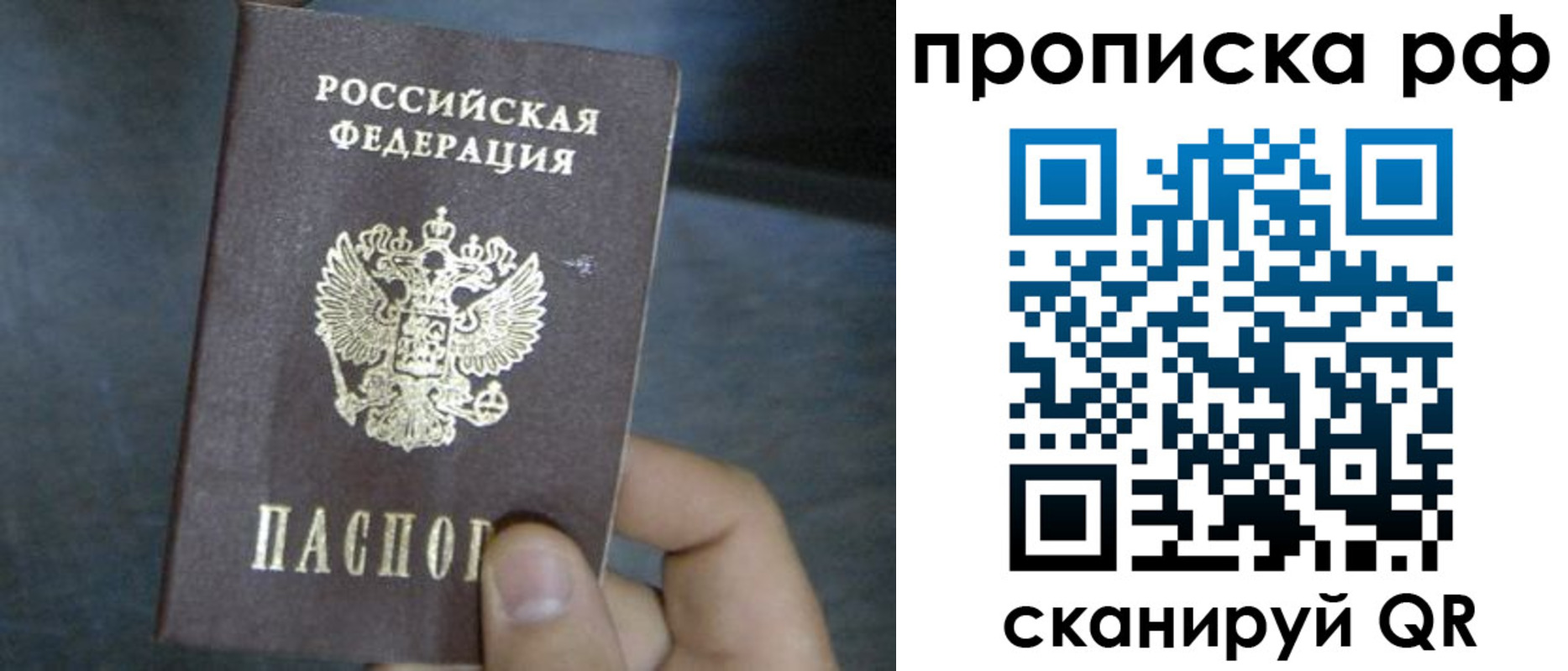 временная регистрация недорого в Светогорске